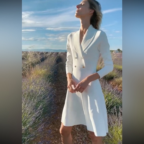 Dolcetto Knit Blazer Dress With Waistline - Picture 5 of 11